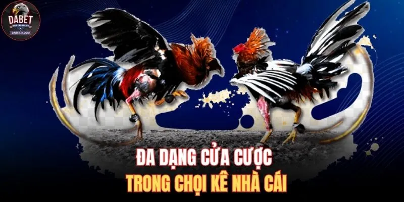Đa dạng cửa cược trong chọi kê nhà cái