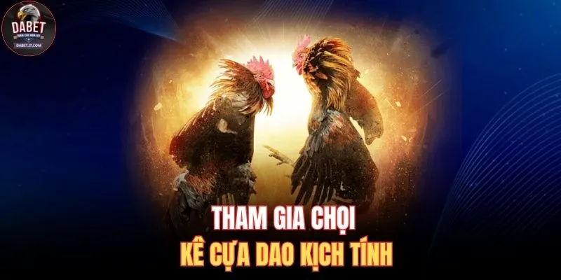 Tham gia chọi kê cựa dao kịch tính